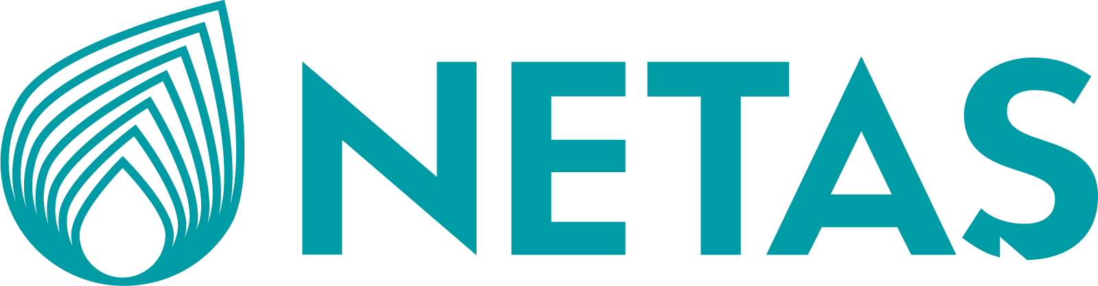 Netaş Telekomünikasyon A.Ş.